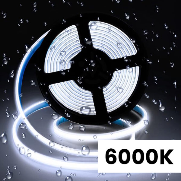 6000K LED lighting option
